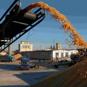 “旺季不旺”背景下，豆粕价格10月或上涨乏力