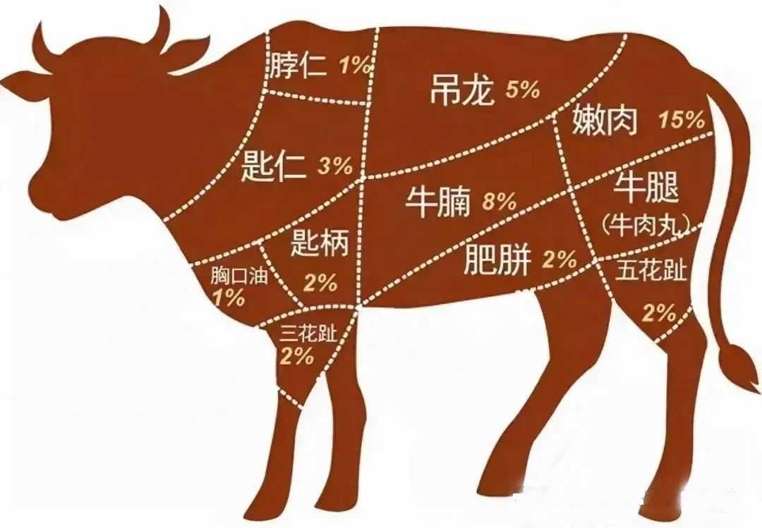 牛身上不同部位肉的营养及价值