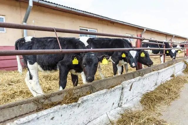 畜牧养殖新规出台，农民养殖户面临4大利好！