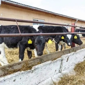 畜牧养殖新规出台，农民养殖户面临4大利好！